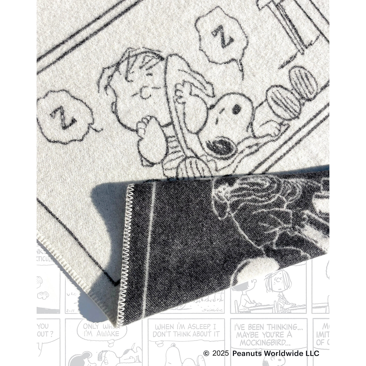 Peanuts Blanket - Comic ZZZ