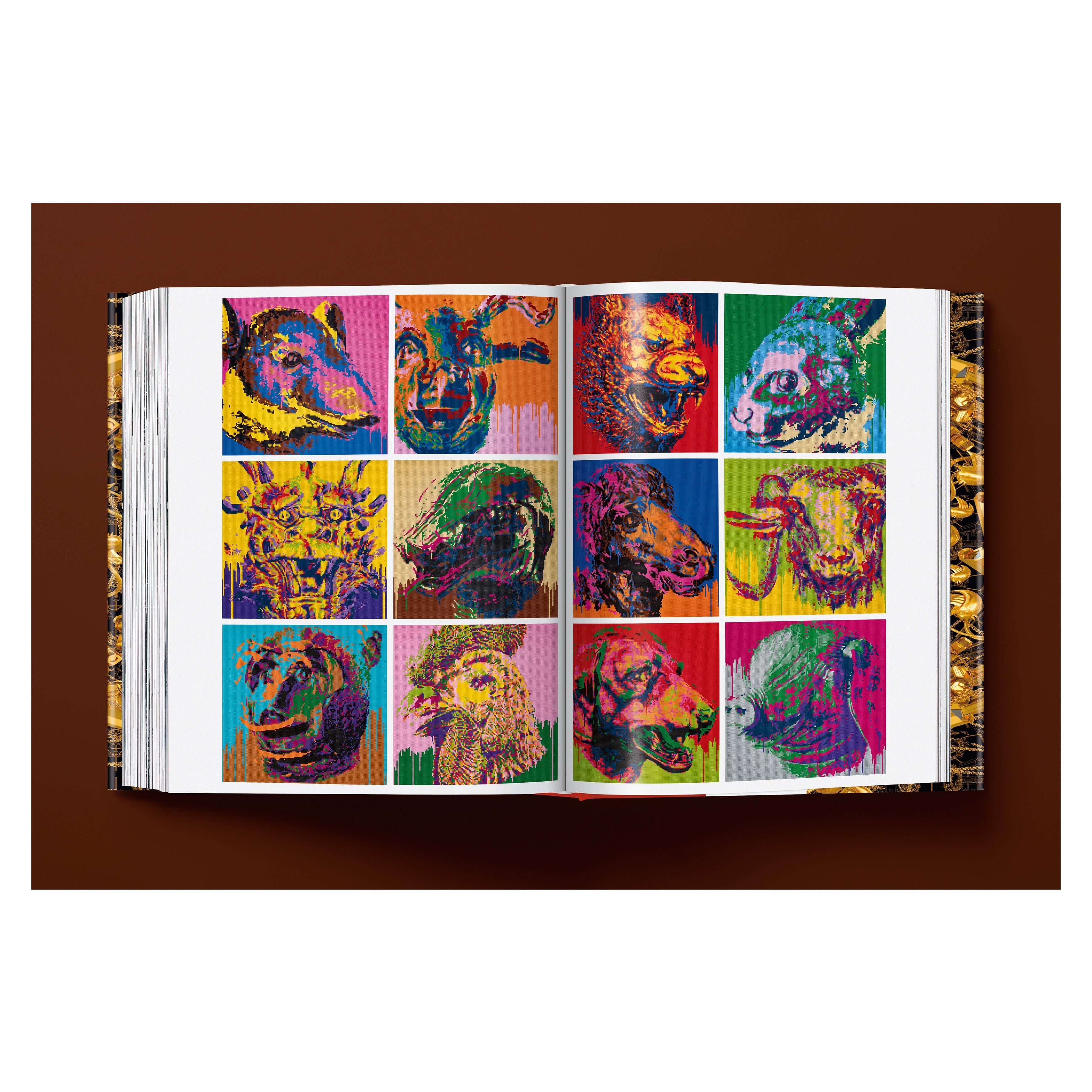 Ai Weiwei. Updated Edition (German, French, English)