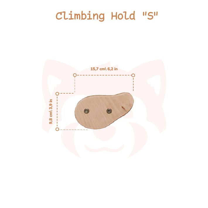 Indoor Climbing Wall