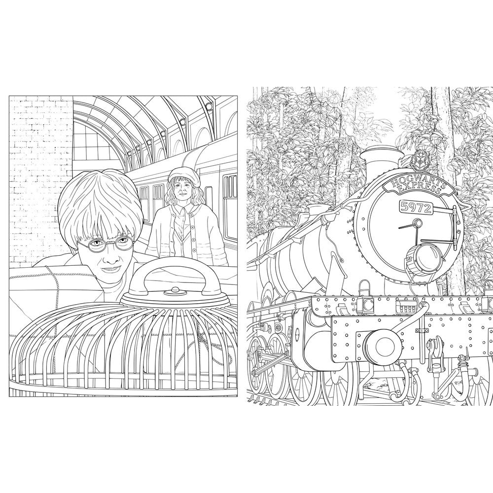 Harry Potter: Travels Through the Wizarding World Coloring Book