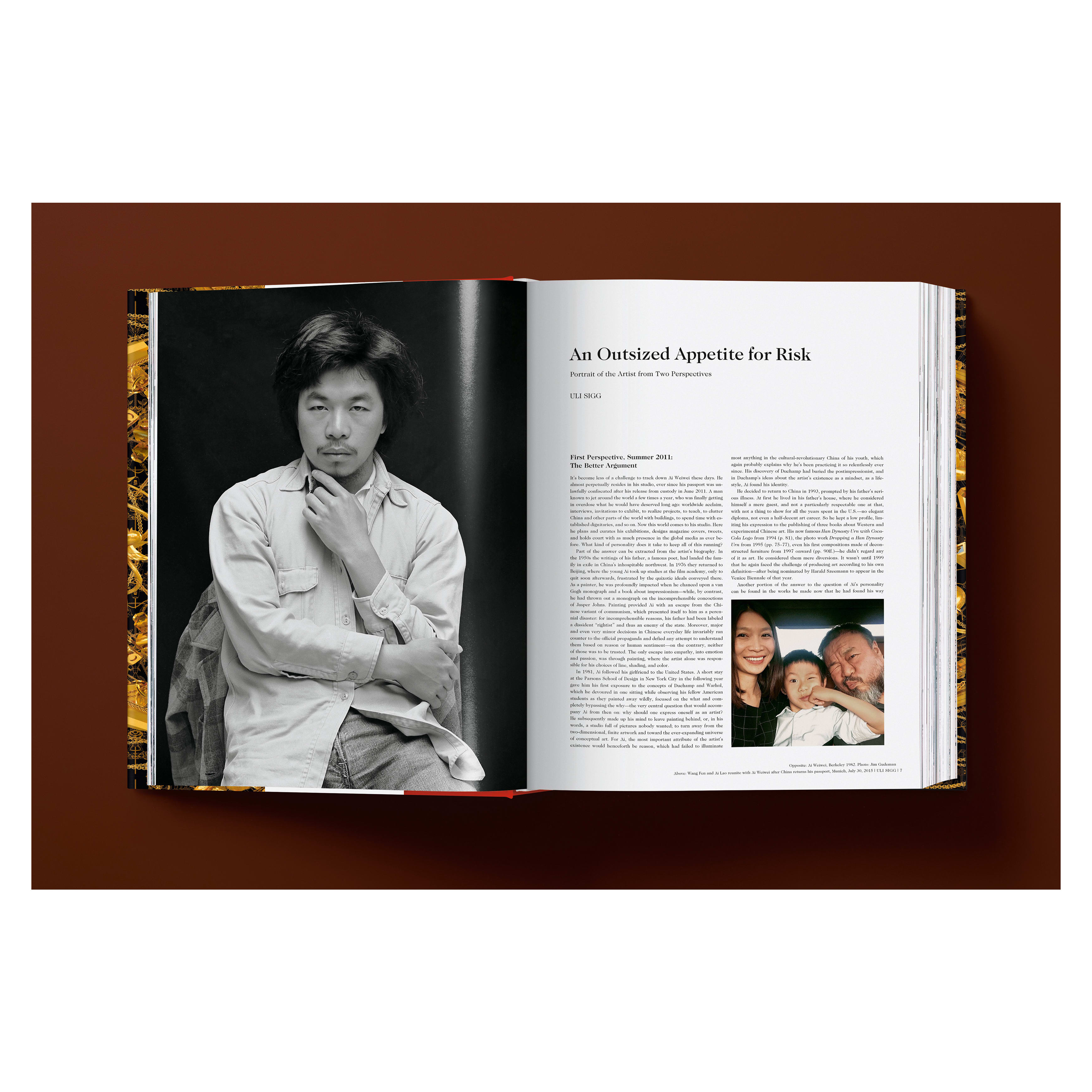 Ai Weiwei. Updated Edition (German, French, English)